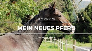 WER IST CATCHY? Alle Infos rund um mein neues Pferd