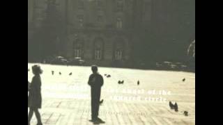 Pedal Steel Transmission -"Maritime Glare"
