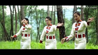 གནས་མཇལ་ལ་འགྲོ།{ Nye jhal la dro }by tsang ngawang tserings offical song