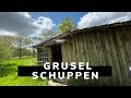 GRUSEL Schuppen wird ABGERISSEN!