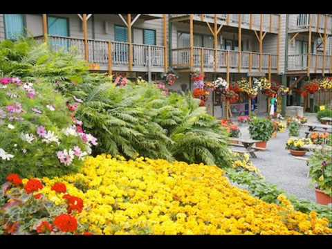 dokhenhaw Bin Sajan Jhula Jhulu