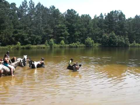 Swimming with the Ponies (EXTREMELY RAW)