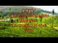 Ooty (Udhagamandalam) Hill Station Weather throughout the year
