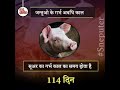 👍👍👌👌विभिन्न जानवरों का गर्भकाल 👌👌