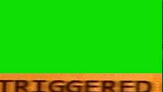 Triggered - Green Screen - Chromakey - Meme Source