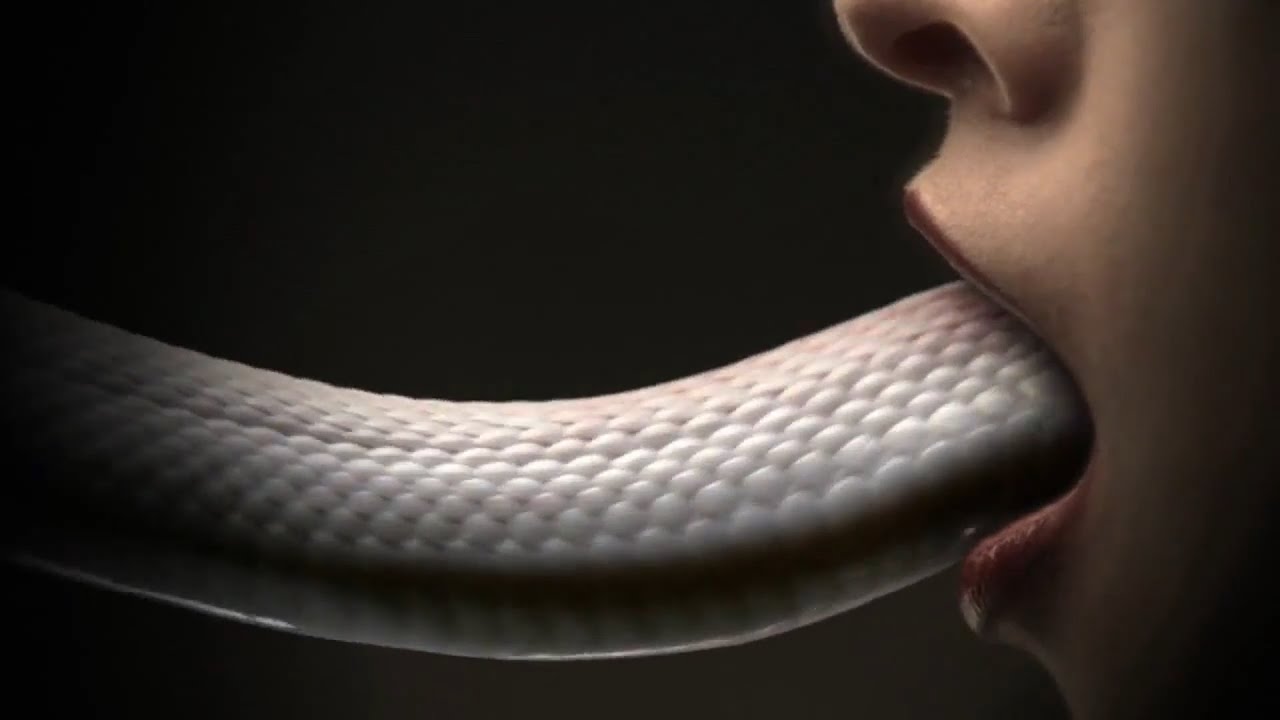Snake vore video manip swallows bound