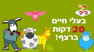 בעלי חיים לילדים ופעוטות - אוצר מילים עם נוני