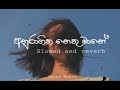 Anuragika nethu manee (Maharaja kansa drama song) | Slowed and reverb song #slowedandreverb #music