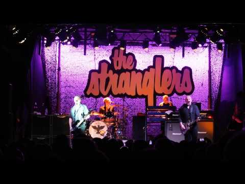 The Stranglers Nice in Nice Aberdeen 2015