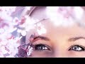 SAKURA / Uplifting Mix / Melodic Progressive House & Trance Music