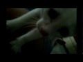 image Pijat Kucing Nikmat Di Purwokerto By Jhin Tego