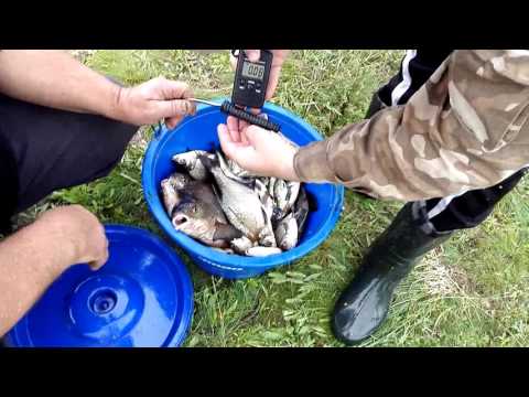 рыбалка на леща видео на северский донец рыбалка на леща видео на северский донец