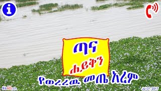 Ethiopia: ጣና ሐይቅን የወረረዉ መጤ አረም - Tana Lake what happend? - DW