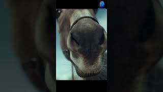 Zoom In Mouth Ai Prompt Content Maker Ai Artificial Intelligence