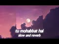 Tu Mohabbat Hai (slowed + reverbed) - Tere Naal Love Ho Gaya | Atif Aslam