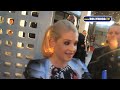 hollywoodtv