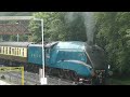 Blue Train Steam Engine Long: Kids Train Videos