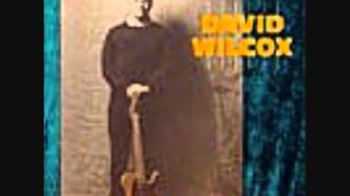 Watch David Wilcox Preachin The Blues video