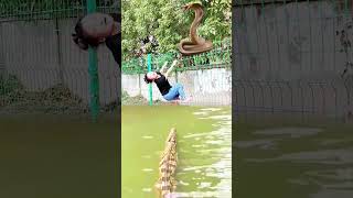 Magic Green Screen3D Special Effects 3D Animation