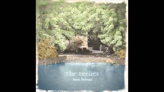 Watch Feelies Morning Comes video