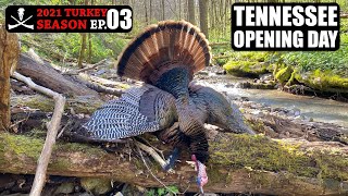 Public Land Limb Hanger on Opening Day! Hill Country Hunting - 2021 Turkey Season Ep. 03