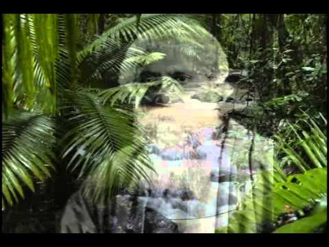 Anadaloke By Indranil Sen.flv