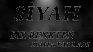 Si̇yahin Esrarengi̇z Dünyasi