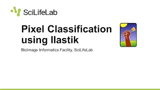 Pixel Classification using Ilastik