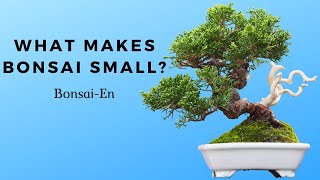 What Makes Bonsai Small?