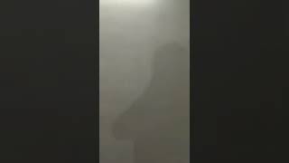 Karambit Figure 8 Tutorial.