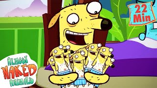 Mini Howies Full Episodes Almost Naked Animals 9 Story Fun