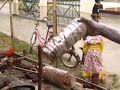 image Panen Budidaya Semut Rangrang Metode Semi Alam Part 1