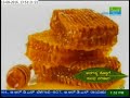 Ayurveda Mane Maddu - Anagatya Kobbu & Tooka Kadime maduvudu (Dyslipidimia) - Mobile: 80500 10100