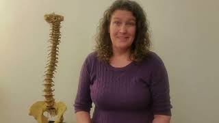Chiropractic and Pregnancy!