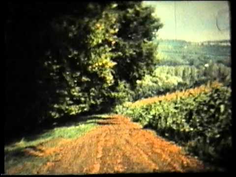 Детство..Отрочество..Юность..