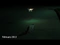 Curious Cat vs DJI Phantom