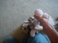 My Black Mouth Cur pups. and some other of my dogs