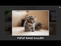 Create A Responsive Popup Image Gallery Using HTML CSS And Vanilla Javascript