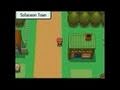 Pokemon Diamond - Gameplay - Go
