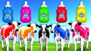 Superhero Babies Learn Colors With Cow Grass Milk Bottles - Nursery Rhymes For K