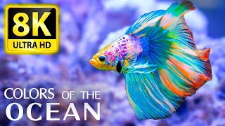 Colors Of The Ocean 8K ULTRA HD - The best sea animals for relaxing and soothing
