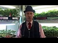 A New Year S Message From Steve Deangelo images A New Year S Message From Steve Deangelo