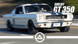 Loud Shelby Gt350 Throws Down
