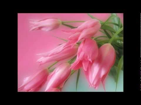 Faithful Love - Cesar Manalili
