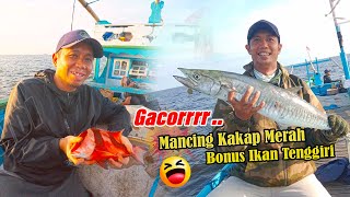Red Snapper Fishing Trip In The Tabanio Sea 2025