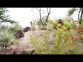 Henderson NV video: Ethel M Chocolate Factory: Christmas Cactus Garden in Henderson Nevada
