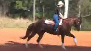 Watch Lee Kernaghan Shake On It video