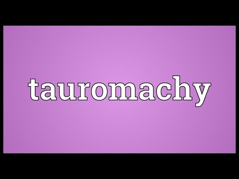 Header of tauromachy