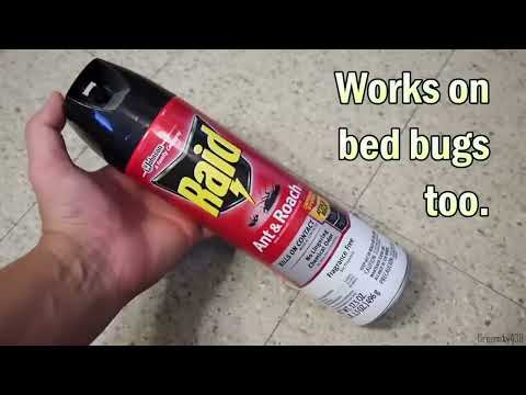 Raid Ant Roach Killer Insecticide Spray