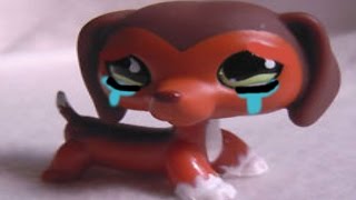LPS: Famous Popstar Episode 5 (Cyberbully)